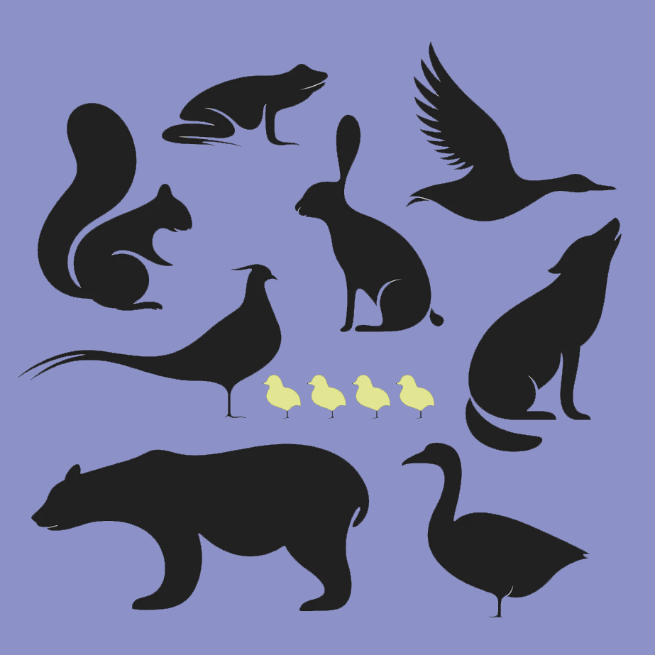 Silhouettes of a variety of animals