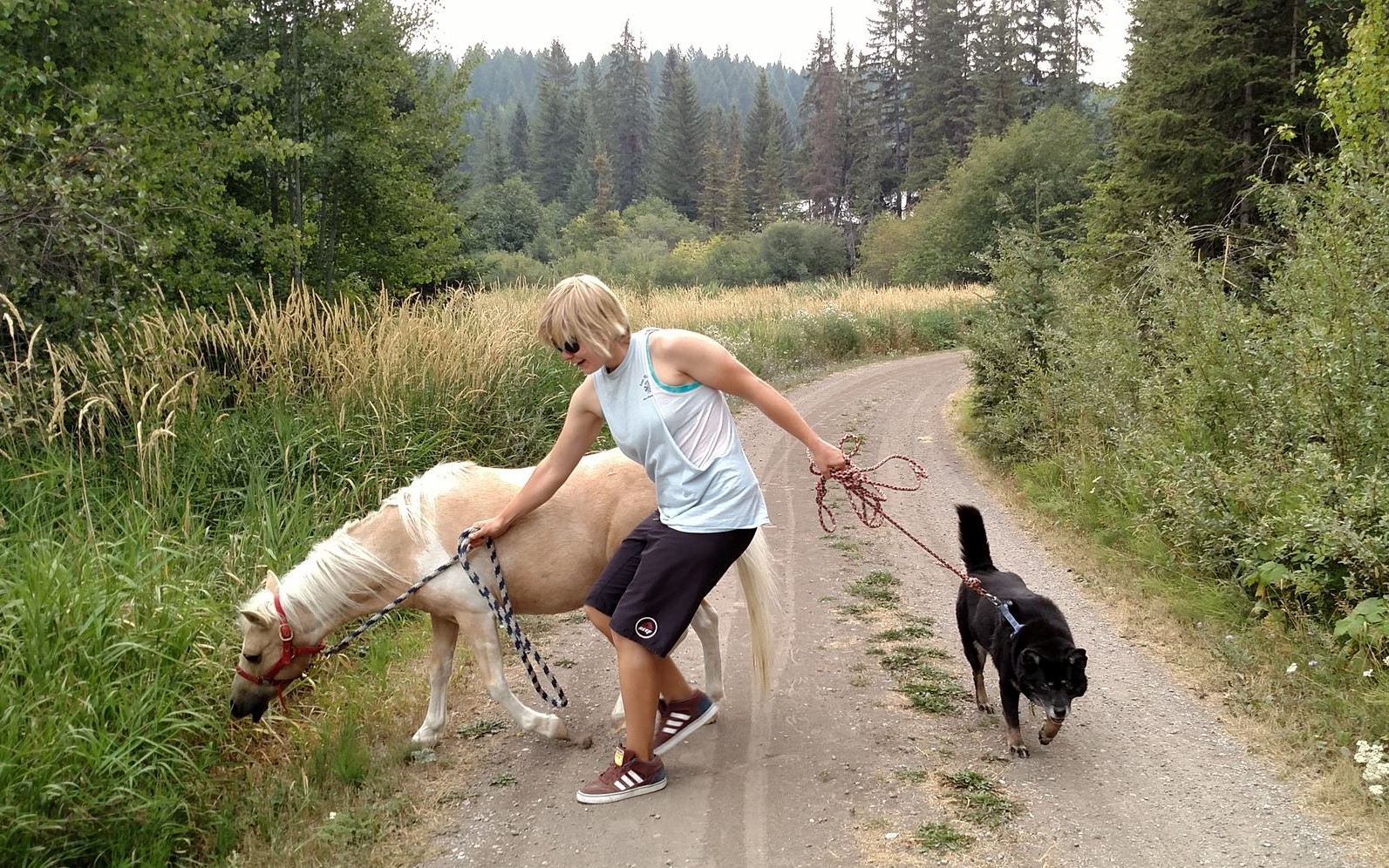 Kendra attempting to walk a horse and a dog at the same time. Both are pulling their leads in oposite directions