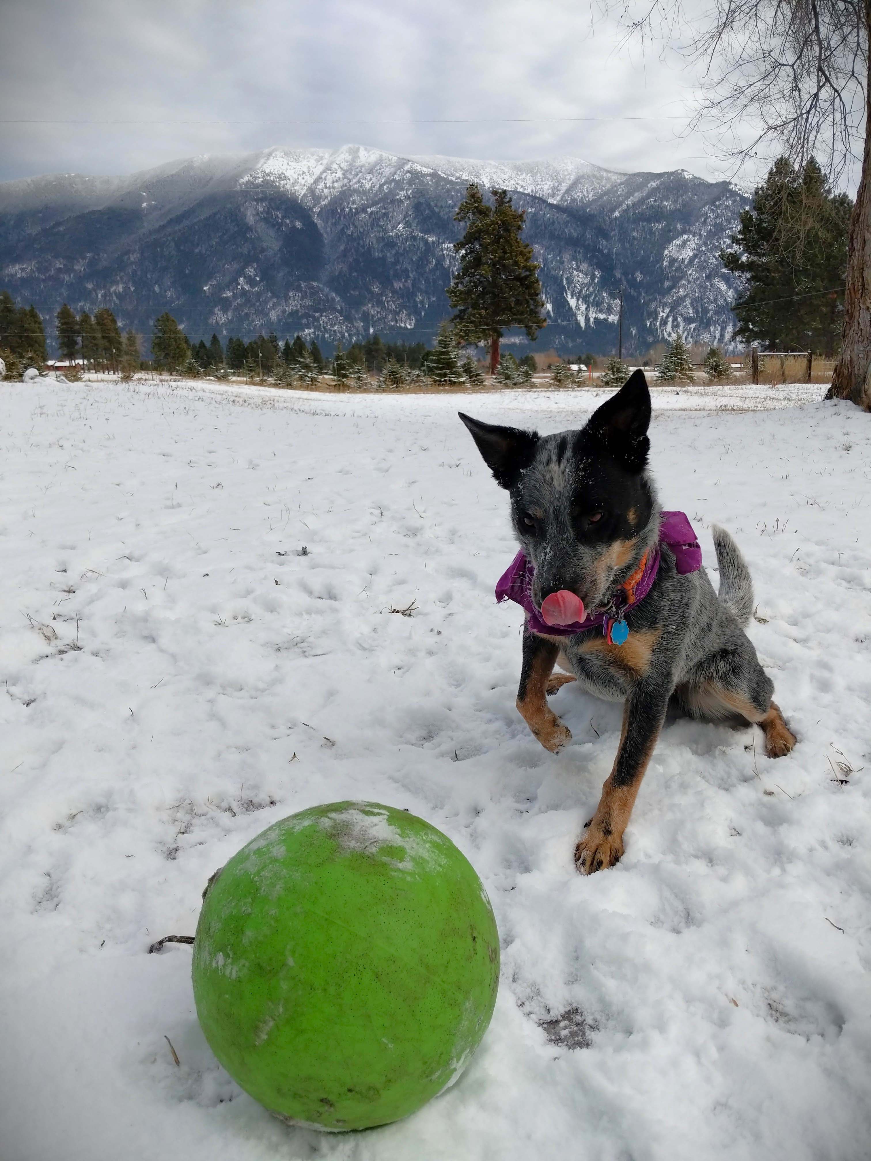 Ophilia ready to pounce on a ball